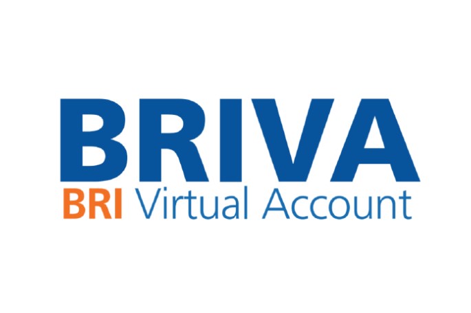 Logo BRIVA